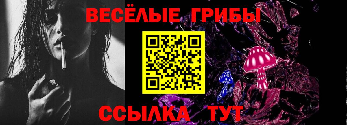 Галлюциногенные грибы MAGIC MUSHROOMS  наркотики  Вход с VPN  Нижний Новгород  Псилоцибиновые грибы MAGIC MUSHROOMS 